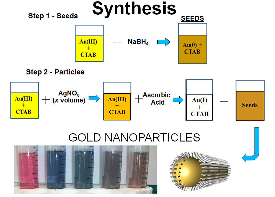 synthesis of gold nanoparticles thesis